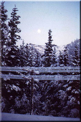Spirits of the North find poetry in Alaskan winter moon.