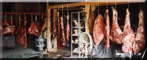 Alaskan links to the past and present:hunting big game for food.