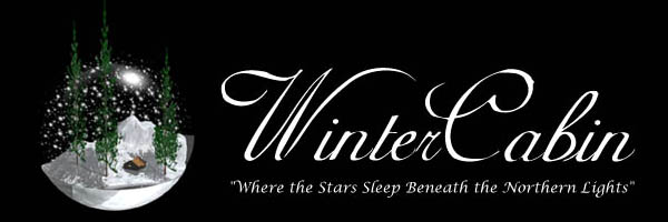 WinterCabin, a summer or winter getaway, where the stars sleep beneath the northern lights.