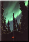 Northern Lights glow over writer's retreat in Tok, Alaska